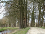 Entergraven